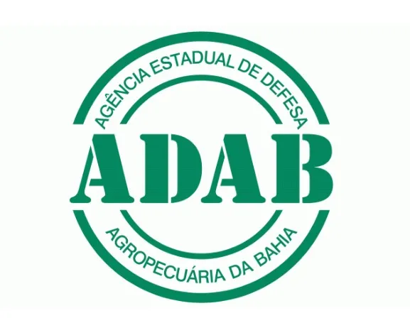 Saeb divulga resultados de concurso público para cargos da Adab